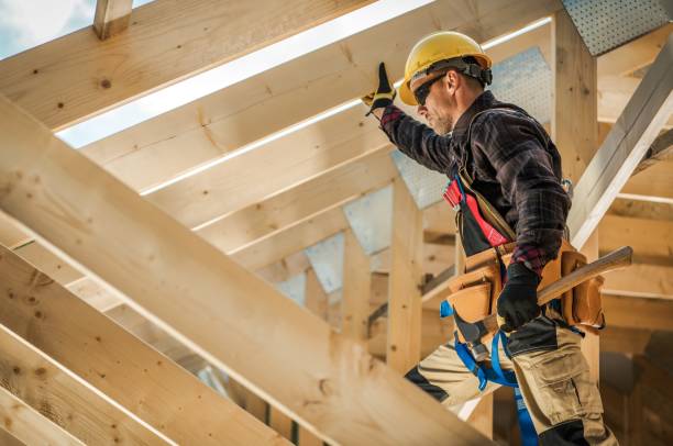 Best Roof Gutter Cleaning  in Marshfield, MO