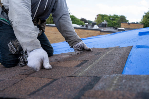 Best Roof Restoration Services  in Marshfield, MO