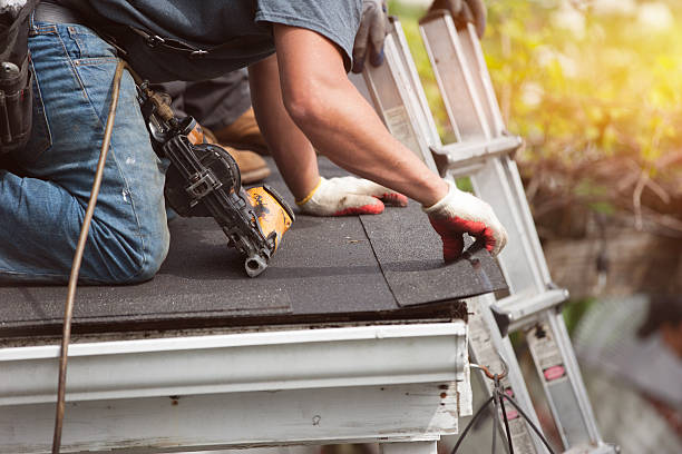 Best Roof Maintenance Services  in Marshfield, MO